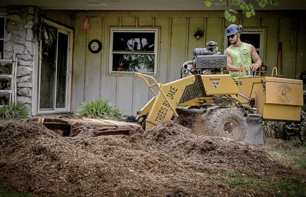 removing stump easy