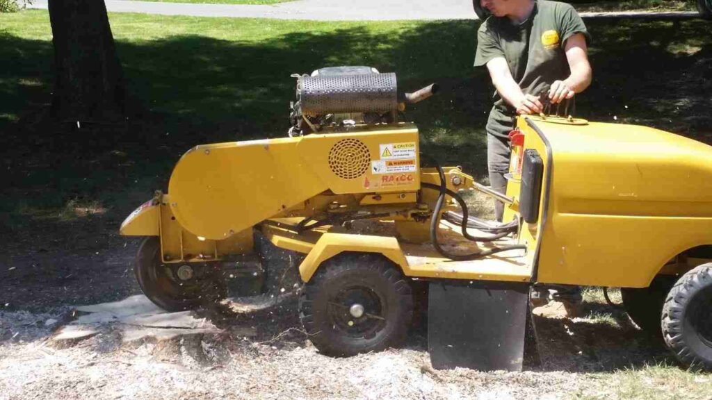 stump-grinding-service