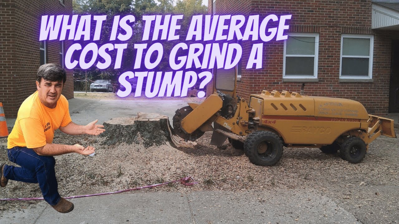 Estimating the Cost to Grind Stumps: Budgeting Tips