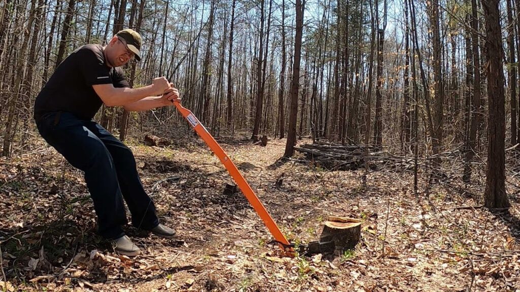 stump remove