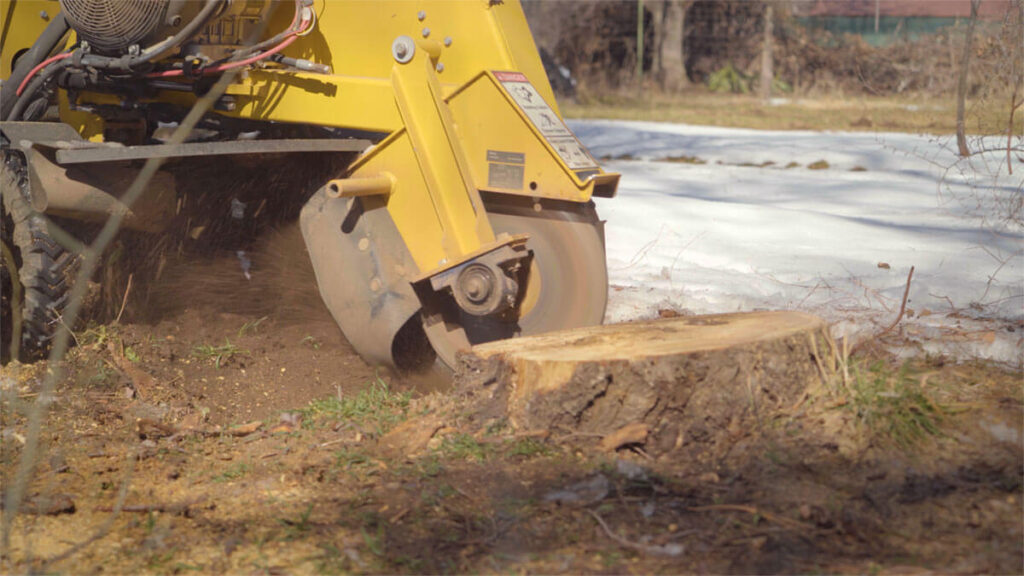 stump-grinding-service