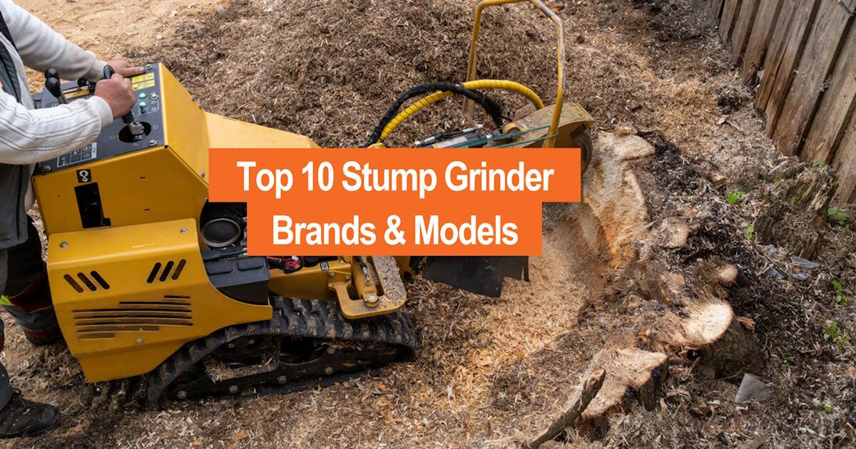 Same Day Stump Grinding: Quick and Efficient Solutions