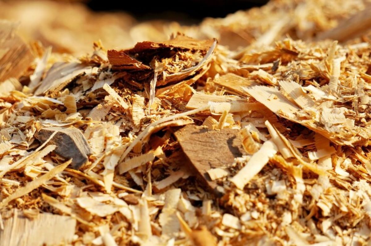 How to Choose the Right Wood Chips for Your Landscaping Needs